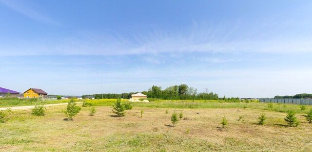 земля ул Уютная 8 фото земля ул Уютная 8 фото