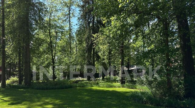 земля с Петрово-Дальнее Павшино фото земля с Петрово-Дальнее Павшино фото