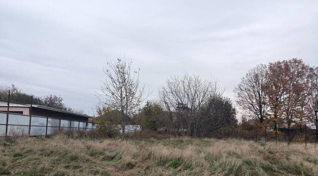 ст-ца Новотитаровская ул Западная фото ст-ца Новотитаровская ул Западная фото