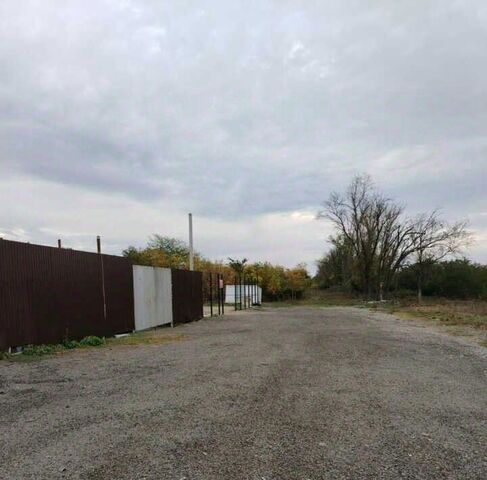 ст-ца Нововеличковская ул Ровная Нововеличковское с/пос фото ст-ца Нововеличковская ул Ровная Нововеличковское с/пос фото