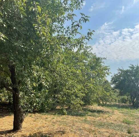 ст-ца Воронцовская ул Красная Нововеличковское с/пос фото ст-ца Воронцовская ул Красная Нововеличковское с/пос фото