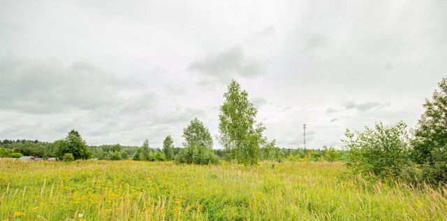 д Головеньки 7 фото д Головеньки 7 фото