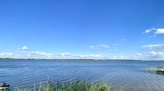 земля с Сабуровка ул Ленина 8 фото земля с Сабуровка ул Ленина 8 фото