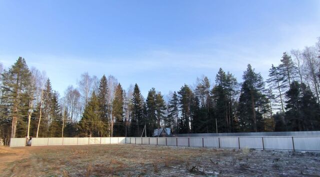 земля д Круглое фото земля д Круглое фото