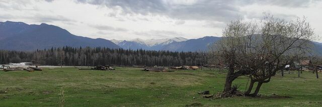 р-н Усть-Коксинский с Тюнгур ул Набережная фото р-н Усть-Коксинский с Тюнгур ул Набережная фото