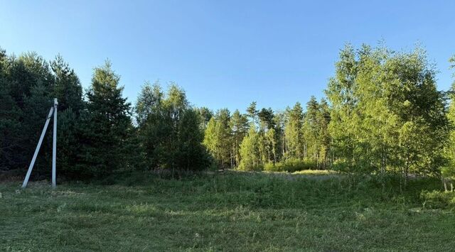 д Песье фото д Песье фото