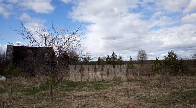 д Кузнецово сельское поселение Пригородное фото д Кузнецово сельское поселение Пригородное фото