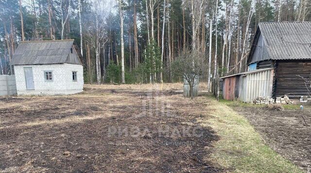 Нетьинское с/пос, Весна СДТ фото Нетьинское с/пос, Весна СДТ фото