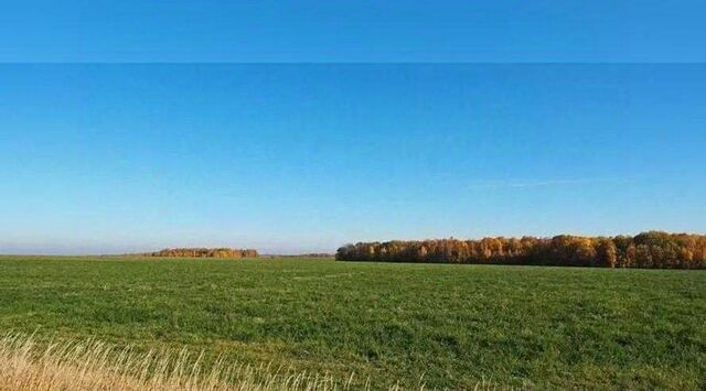 р-н Рославльский д Рогово 2-е ул Заречная фото