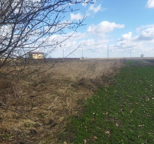 земля д Городцы Городецкое сельское поселение, Трубчевск фото земля д Городцы Городецкое сельское поселение, Трубчевск фото