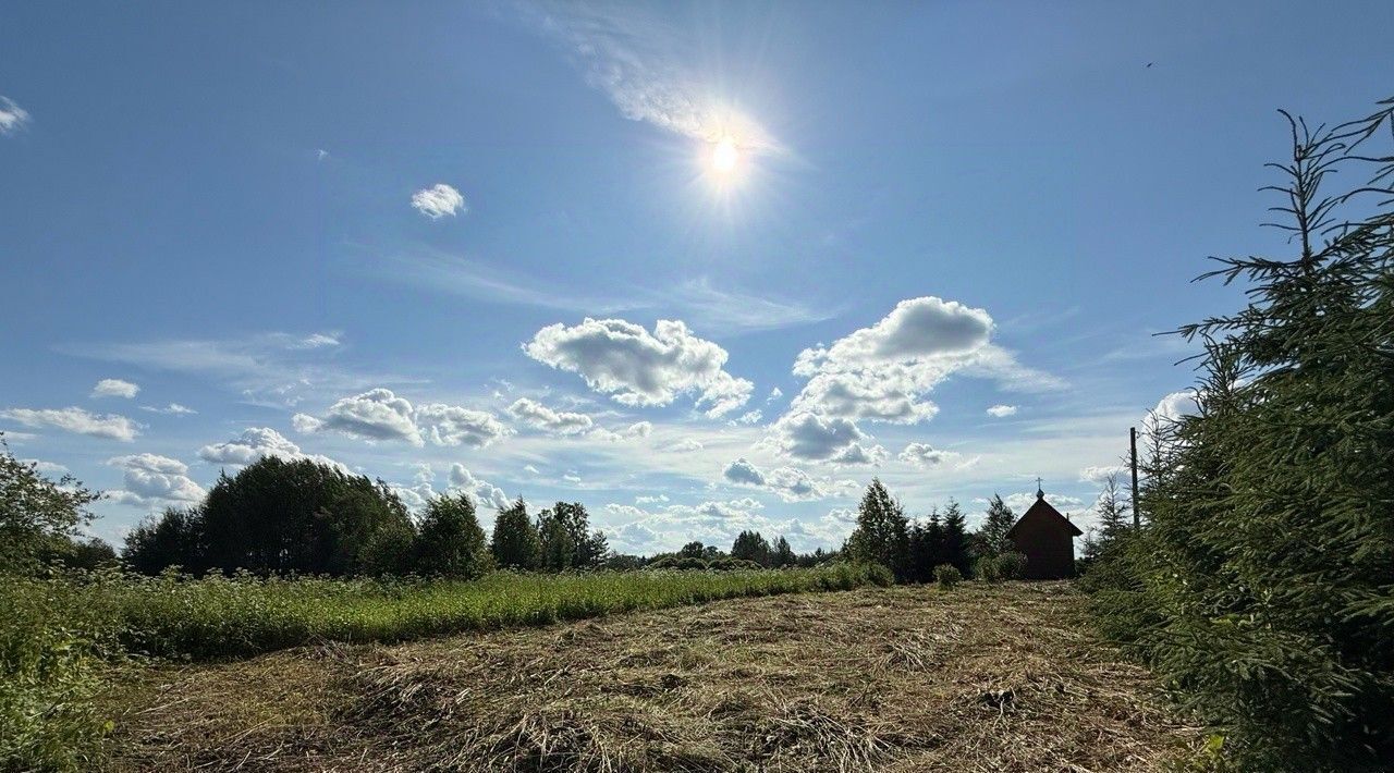 земля р-н Вологодский д Бабик фото 2