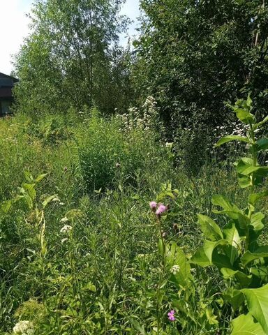 р-н Петродворцовый коллективное огородничество Вега фото р-н Петродворцовый коллективное огородничество Вега фото