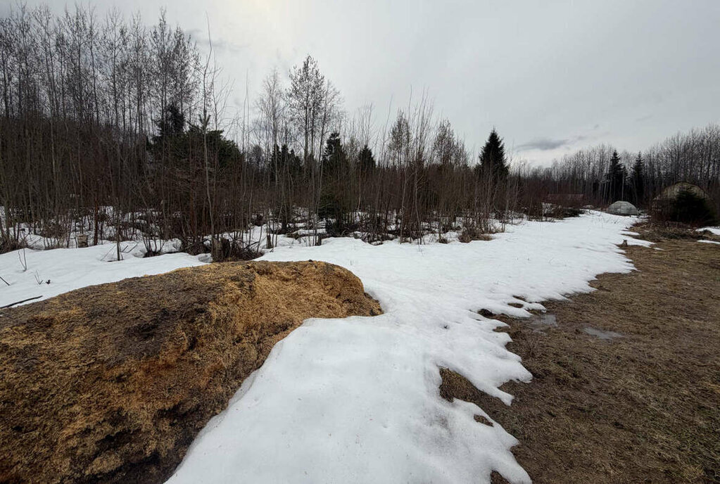земля р-н Вологодский п Можайское фото 5