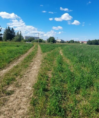 деревня Маурино Подлесный сельсовет фото деревня Маурино Подлесный сельсовет фото