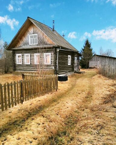д Княжая Тотьма фото д Княжая Тотьма фото