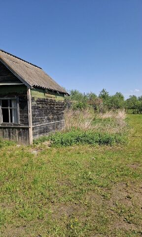 снт Кожевник-2 Торжокский муниципальный округ, садоводческое товарищество фото снт Кожевник-2 Торжокский муниципальный округ, садоводческое товарищество фото