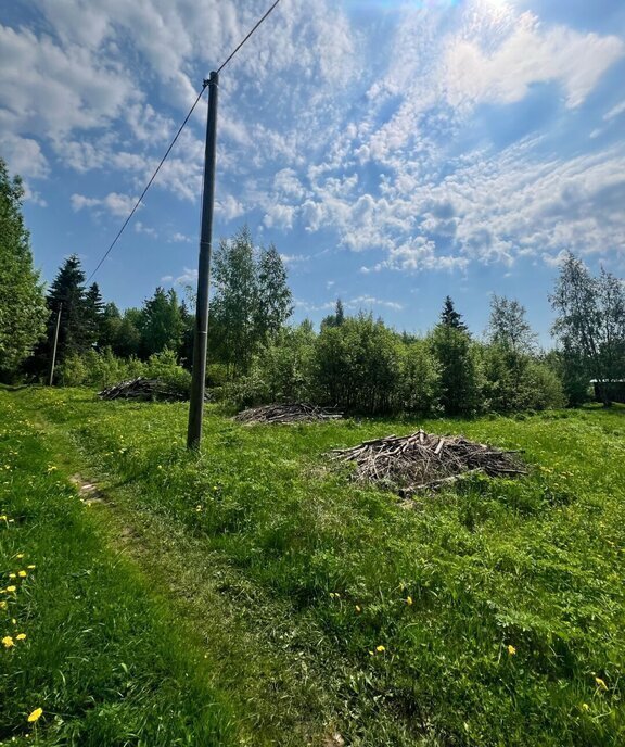 земля р-н Вологодский снт Радужное Красково-2 фото 12
