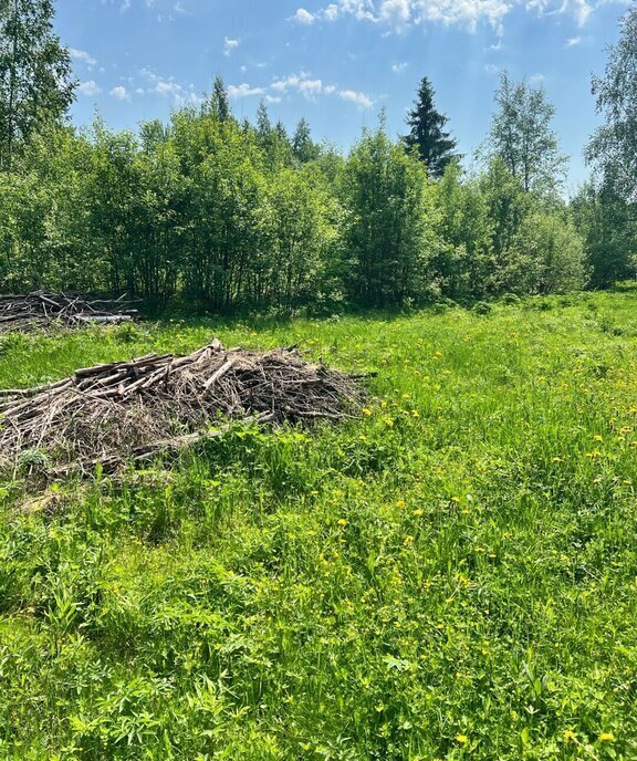 земля р-н Вологодский снт Радужное Красково-2 фото 13