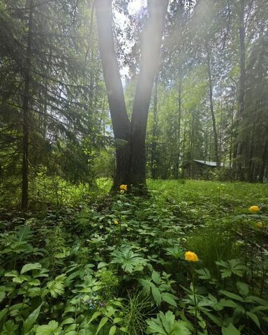 земля п Высокое Устье фото земля п Высокое Устье фото