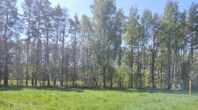 земля рп Кадуй ул Хвойная 5 фото земля рп Кадуй ул Хвойная 5 фото