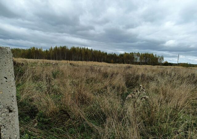 р-н Вичугский п Старая Вичуга ул Молодежная фото