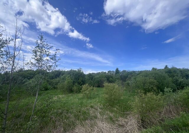 земля с Маэкса Белозерск фото