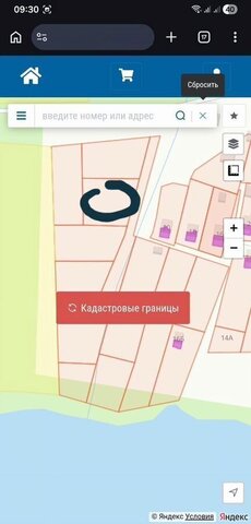 земля д Бабичево Кириллов фото земля д Бабичево Кириллов фото
