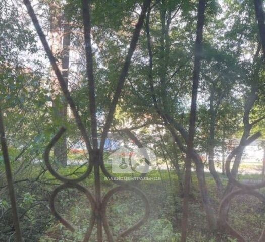 г Новосибирск р-н Советский Академгородок ул Героев Труда 35 фото г Новосибирск р-н Советский Академгородок ул Героев Труда 35 фото
