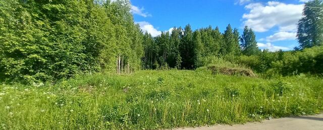 снт тер.Подшипник Вологда фото снт тер.Подшипник Вологда фото