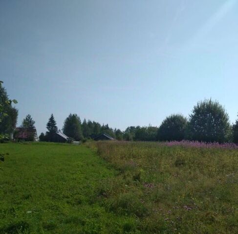 д. Романово Воскресенский сельсовет, ул. Приозерная, 4 фото д. Романово Воскресенский сельсовет, ул. Приозерная, 4 фото