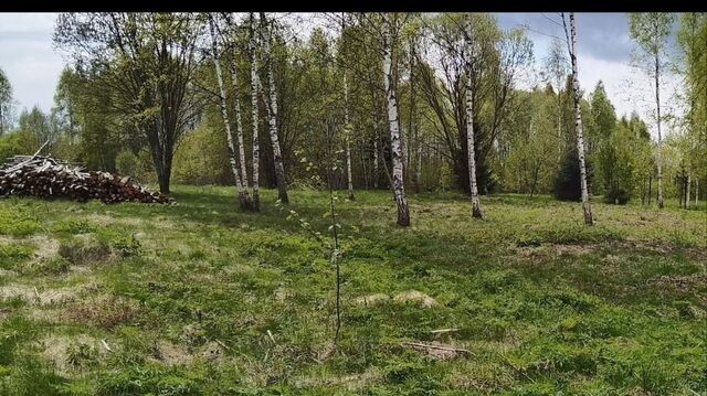 д Рокотино фото д Рокотино фото