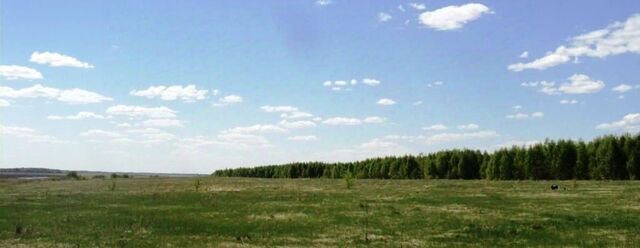 земля с Иткуль фото земля с Иткуль фото