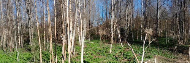 р-н Сыктывдинский д Захарово муниципальное образование, Ыб фото р-н Сыктывдинский д Захарово муниципальное образование, Ыб фото