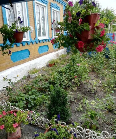 дом ст-ца Новороговская Новороговское сельское поселение фото