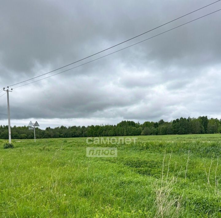 земля р-н Вологодский д Борилово ул Изумрудная фото 6