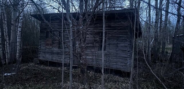 земля Эра, Рябиновая аллея, Вологда фото