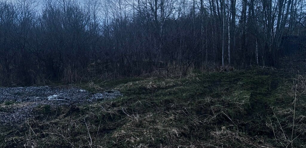 земля р-н Вологодский снт Радужное Эра, Рябиновая аллея, Вологда фото 5