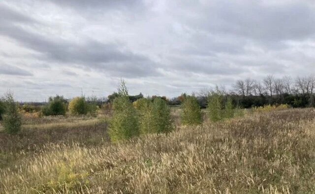 р-н Рязанский с Вышетравино Рязань фото р-н Рязанский с Вышетравино Рязань фото