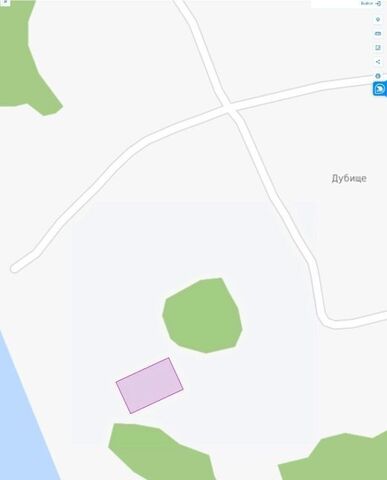 д Дубище Удомельский муниципальный округ фото