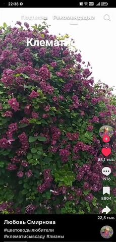 г Шимановск ул Лесотехническая 8 фото г Шимановск ул Лесотехническая 8 фото