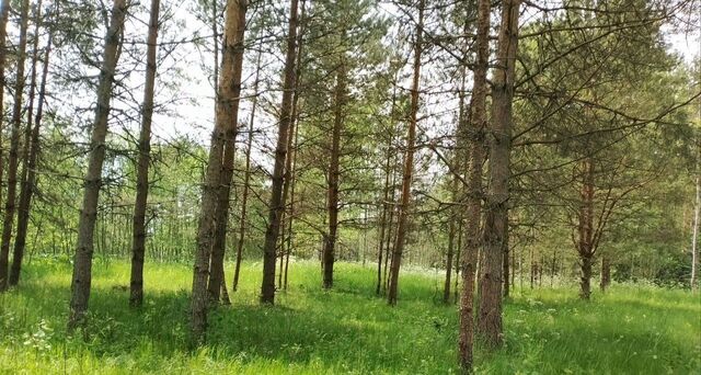 р-н Лужский д Смерди Серебрянское с/пос фото р-н Лужский д Смерди Серебрянское с/пос фото
