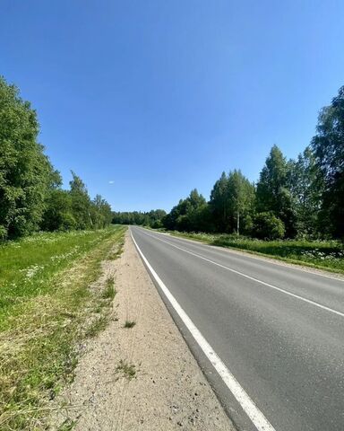 муниципальное образование Югское, Шексна фото