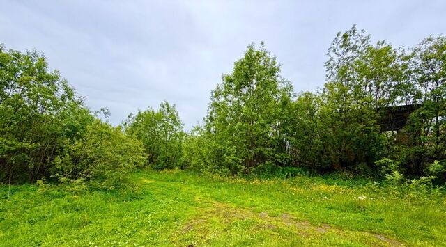 р-н Кольский нп Шонгуй городское поселение Кильдинстрой фото р-н Кольский нп Шонгуй городское поселение Кильдинстрой фото