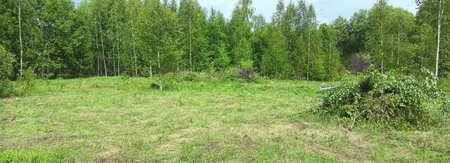 земля тер Добрунское сельское поселение снт сдт Взлет Добрунское с/пос фото
