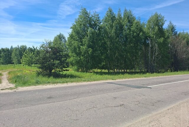 р-н Некрасовский д Лихообразово фото р-н Некрасовский д Лихообразово фото