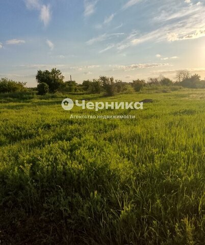 р-н Октябрьский х Ильичевка ул Абрикосовая 1 Алексеевское сельское поселение фото р-н Октябрьский х Ильичевка ул Абрикосовая 1 Алексеевское сельское поселение фото