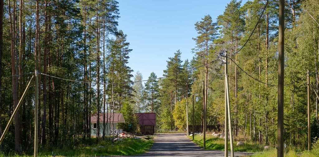 земля р-н Выборгский Приморское городское поселение, Сосновый пляж кп фото 15