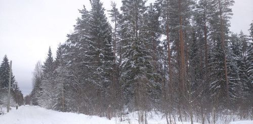 земля Савинское с/пос фото