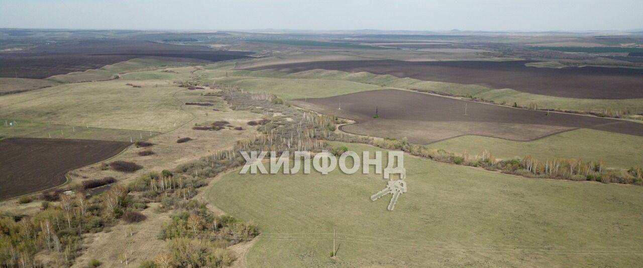 земля г Белокуриха пер Ленский фото 1