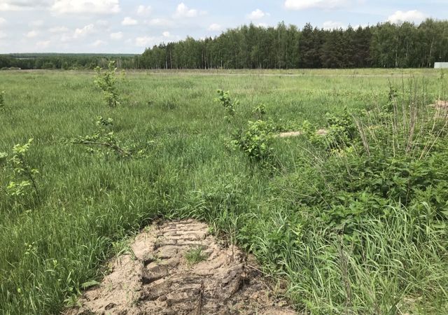 ул Сосновая Старый Оскол фото